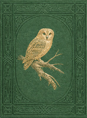 Image Not Available